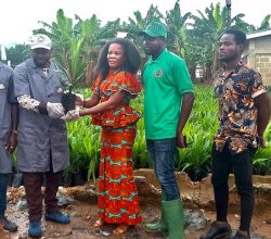 Obuasi East District Assembly Support Farmers With 10,000 Oil Palm Seedlings